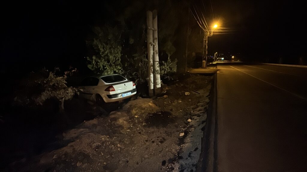 Elazığ’da yoldan çıkan otomobildeki 4 kişi yaralandı