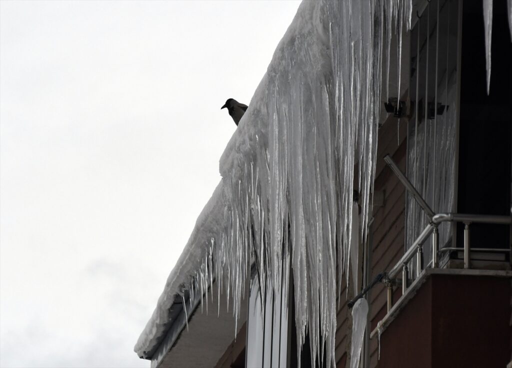 Erzurum, Kars ve Ardahan’da kar ile soğuk hava etkili oluyor
