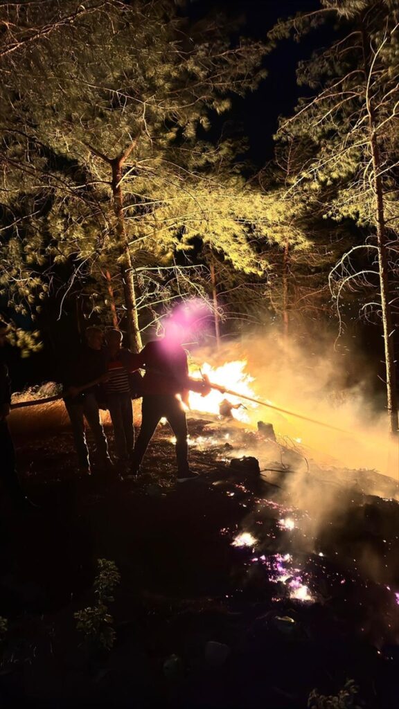 Hatay’da çıkan orman yangını kontrol altına alındı