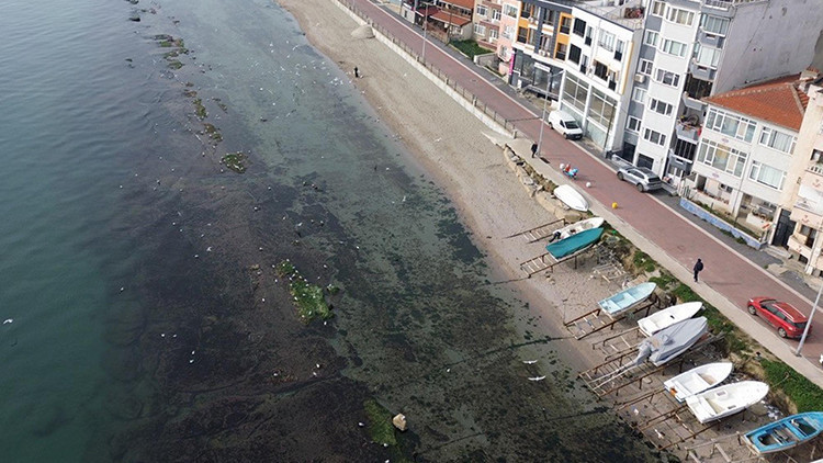 Deniz yedi metre çekildi, ‘Kral yolu’ göründü