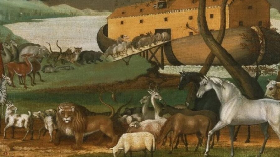 Bu kez Nuh’un Kasası yapılıyor: 10 bin hayvanı dondurup saklayacaklar