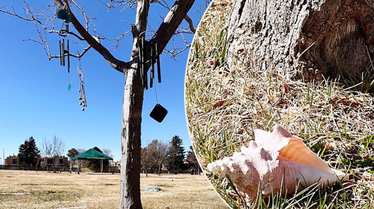 Mezar taşı bile yok ama çocukları 100 milyon dolarlık miras için birbirine girdi