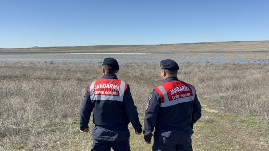 Jandarma gece gündüz flamingo nöbetinde