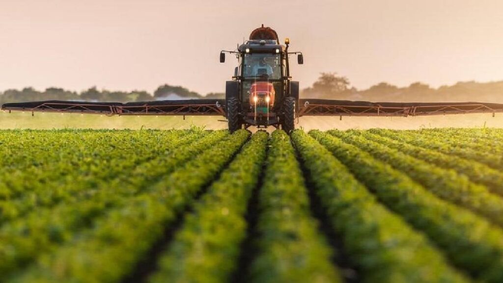 100 milyon lira sermayeli tarım devi battı