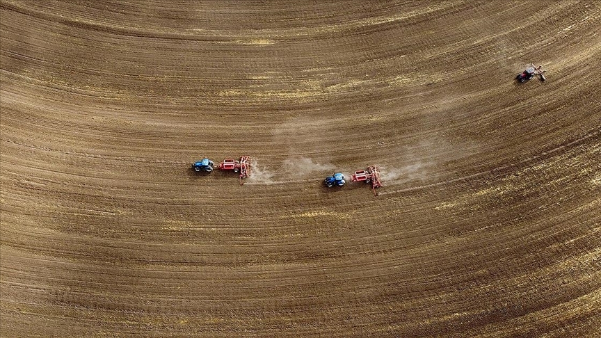 Tarım sayımında sona yaklaşıldı