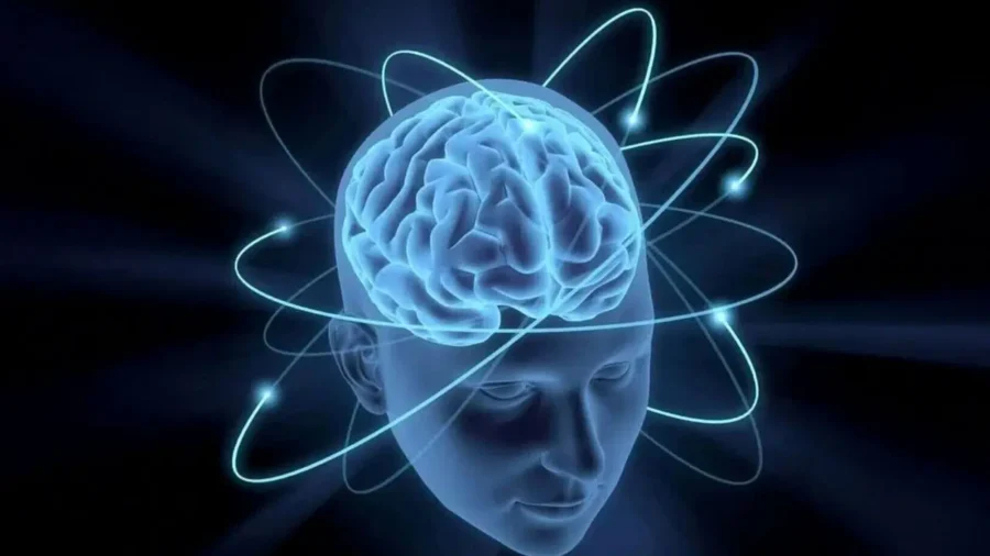 Bildiklerinizi unutun: Beyin ömür boyu gelişmeye devam ediyor