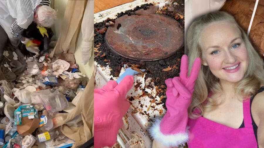 Bedava ev temizleyerek avro milyoneri oldu