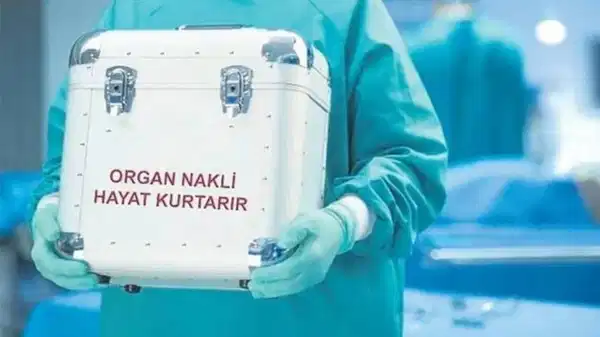 Kadavradan böbrek nakliyle ‘yeniden doğdu’