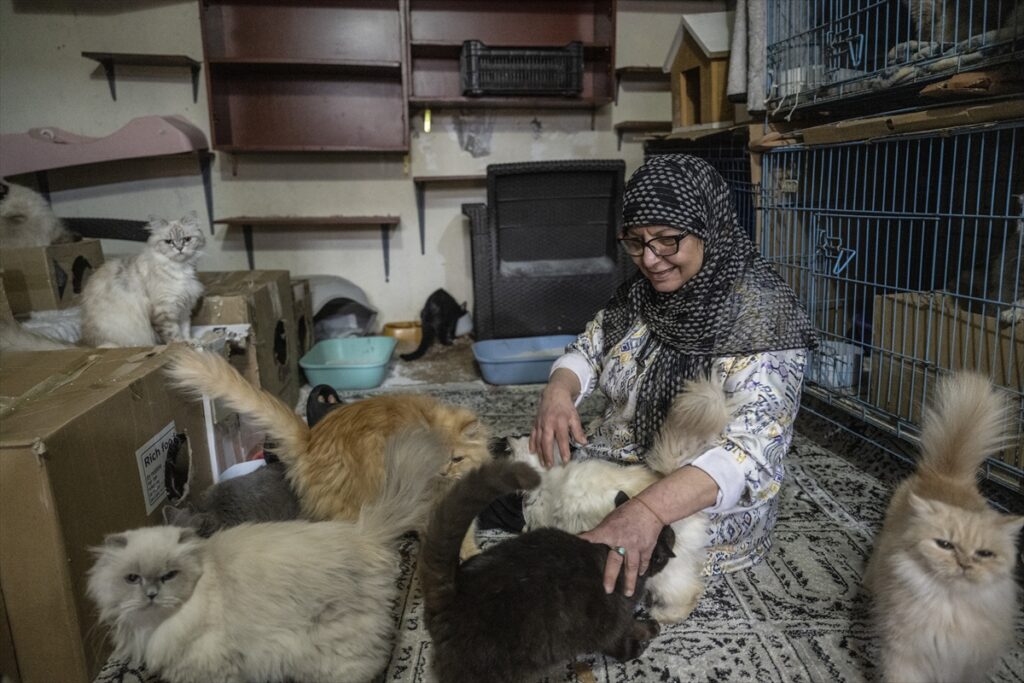 Lübnanlı hayvansever Abadi, İsrail saldırıları altındaki Dahiye’den 40 kedisiyle ayrılmak zorunda kaldı