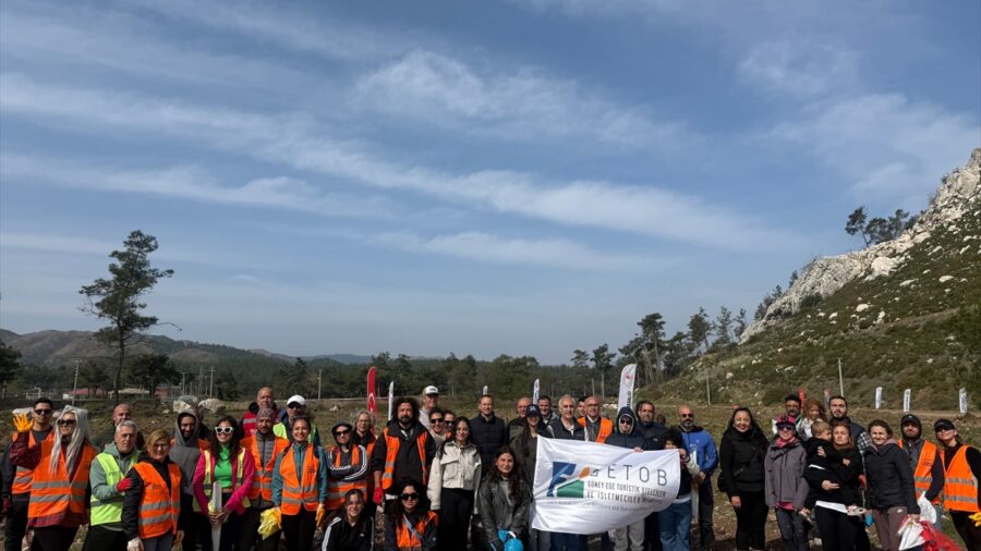 Marmaris’te otelciler yanan orman alanlarına fidan dikti