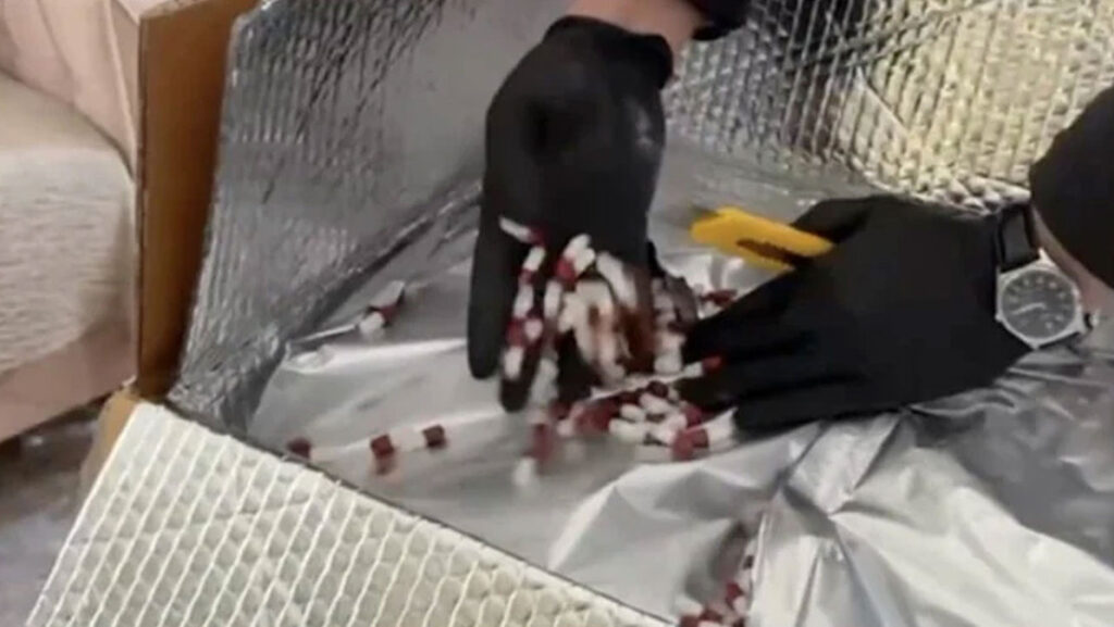 İstanbul’da Uyuşturucu Operasyonuyla 5 Şüpheli Yakalandı