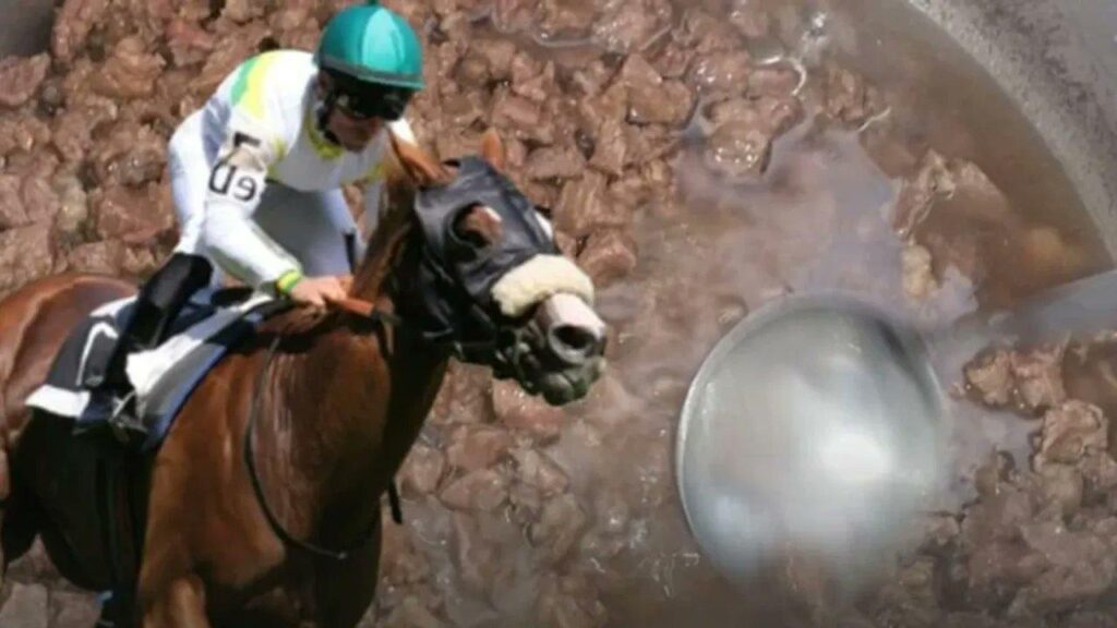 Yarış atının eti nasıl oldu da aşevi mutfağına girdi?