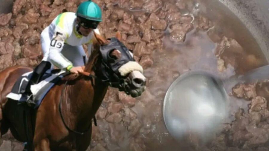 Yarış atının eti nasıl oldu da aşevi mutfağına girdi?