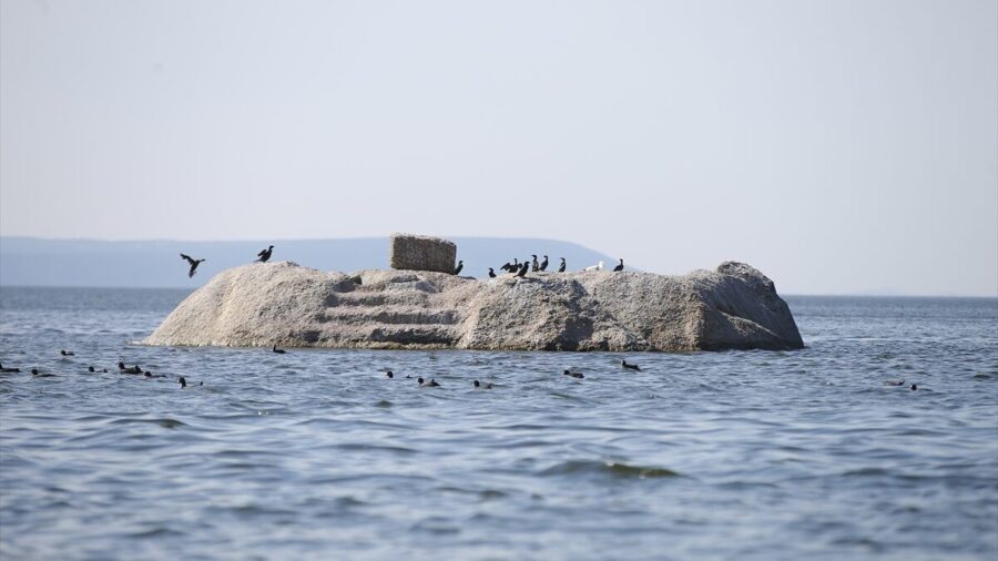 Son yağışlarla su seviyesi yükselen Bafa Gölü’nde balık çoğaldı