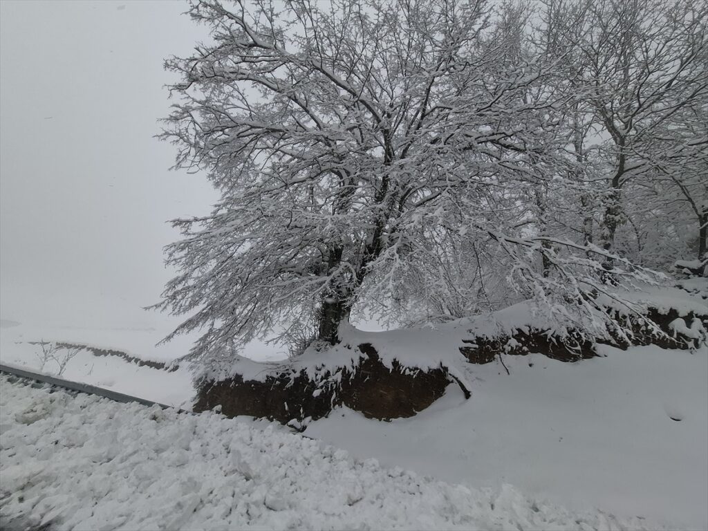 Tekirdağ ve Kırklareli’nin yüksek kesimlerinde kar etkili oluyor