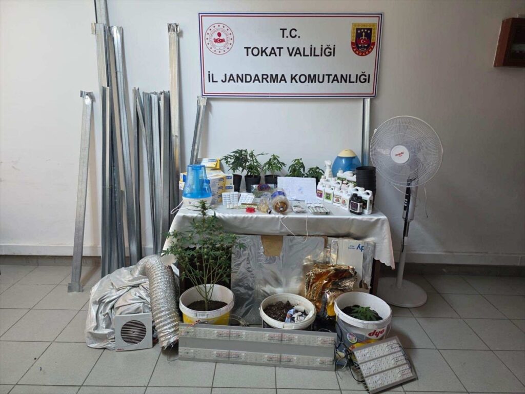 Tokat’ta apartman dairesinde kurulan serada kenevir yetiştiren zanlı tutuklandı