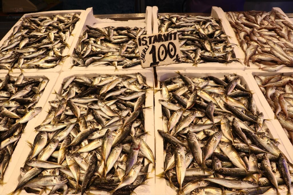 Trabzon’da ramazan ayında balığa talep arttı