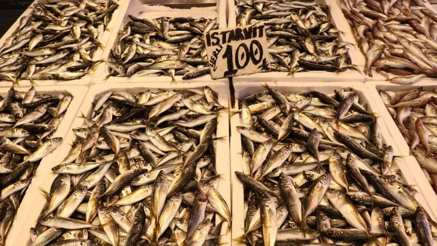 Trabzon’da ramazan ayında balığa talep arttı