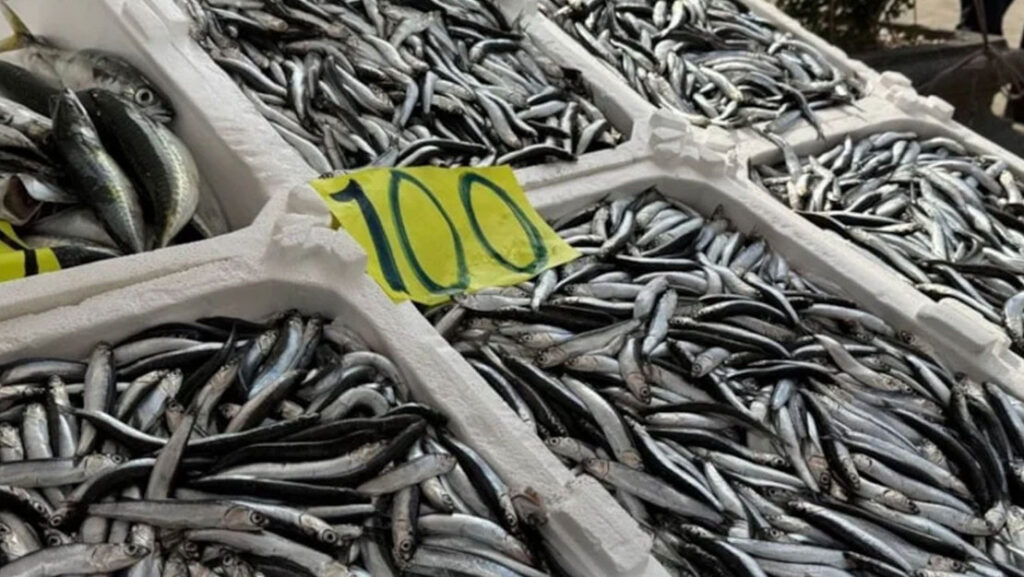 Zonguldak’ta Ramazan Mesaisinde Balık Satışı Devam Ediyor