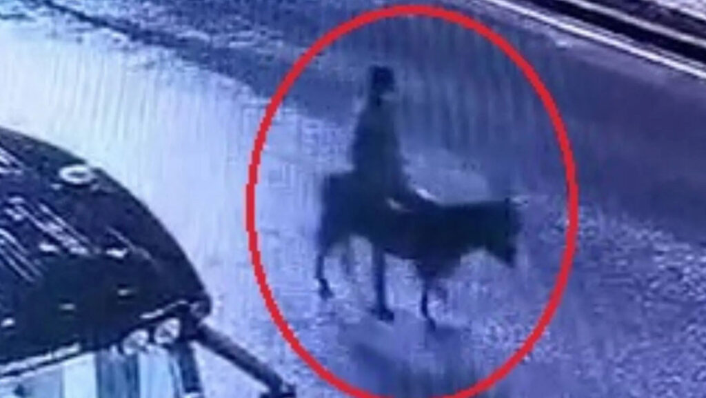 Kayseri’de Kuyumcu Soygununa İlişkin İddianame Hazırlandı