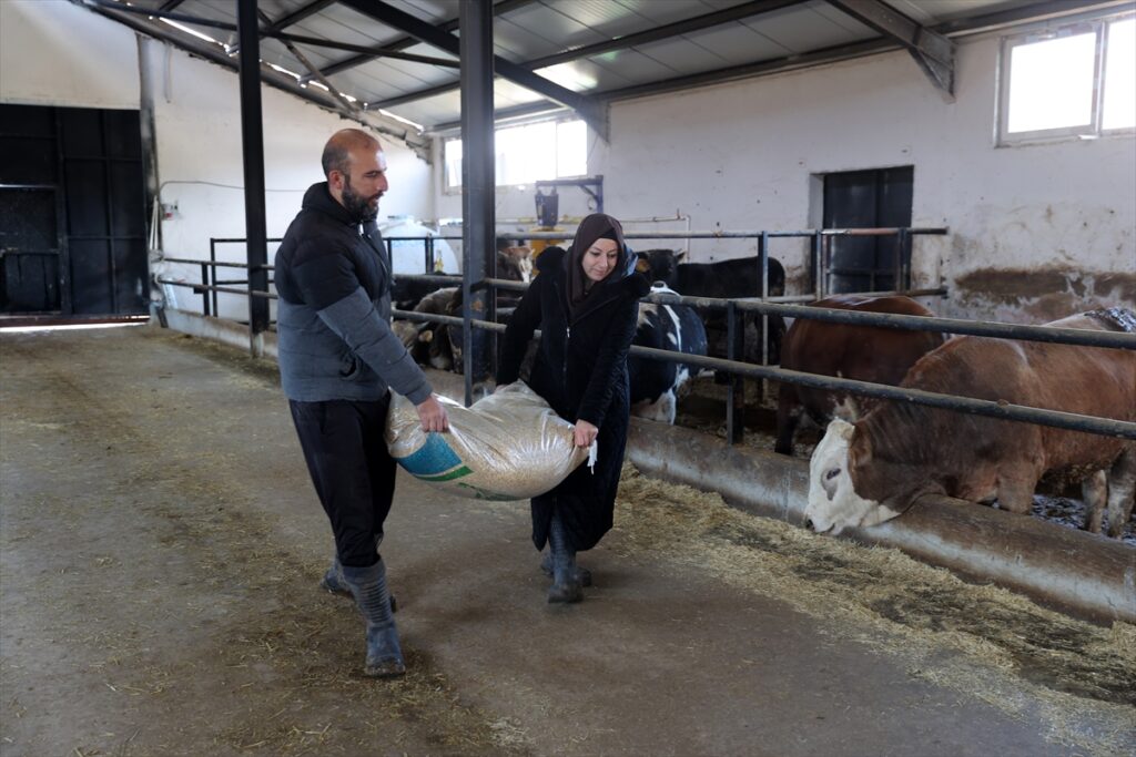 ÜRETİMLE GÜÇLENEN KADINLAR – Bankacılığı bırakıp devlet desteğiyle baba mesleği hayvancılığa başladı