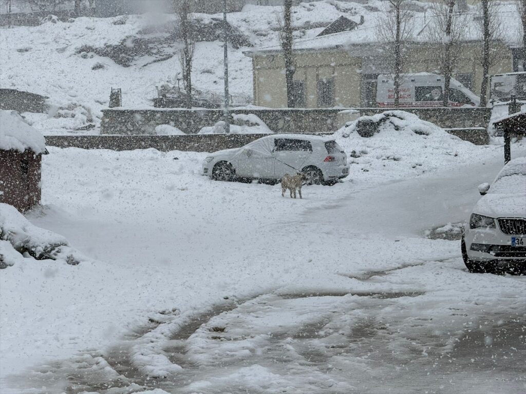Van’ın Başkale ilçesinde kar etkili oldu