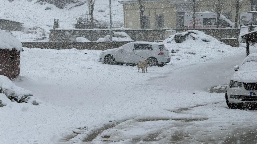 Van’ın Başkale ilçesinde kar etkili oldu