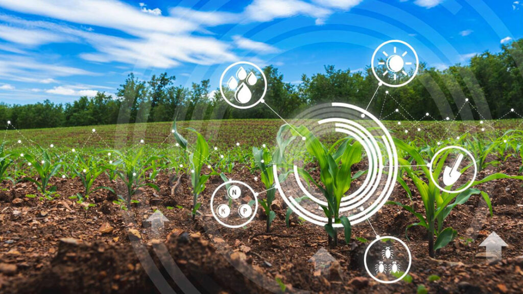 Tarımda Dijital Dönüşüm Stratejisi Belirlendi