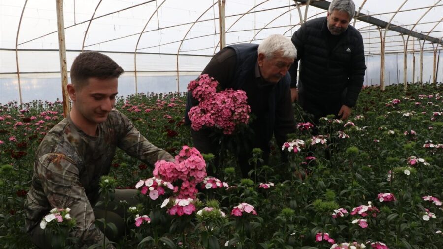 Yalova’da dört kuşaktır sürdürülen çiçekçilik torunlarla devam ediyor