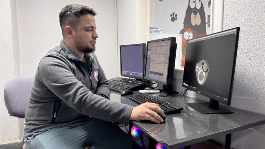 Zonguldak’ta kanserli köpek, operasyon ve elektro kemoterapiyle sağlığına kavuştu