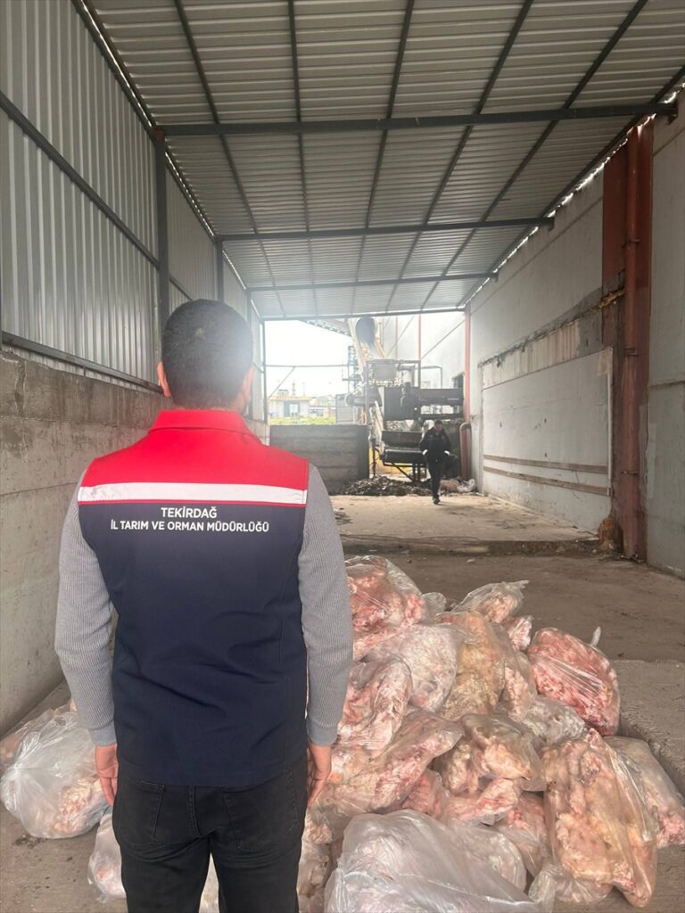 Tekirdağ’da 2 bin 800 kilogram sağlıksız hayvansal ürün imha edildi | TurkArama Motoru | Sağlık ve Günlük Yaşam için Pratik Bilgiler