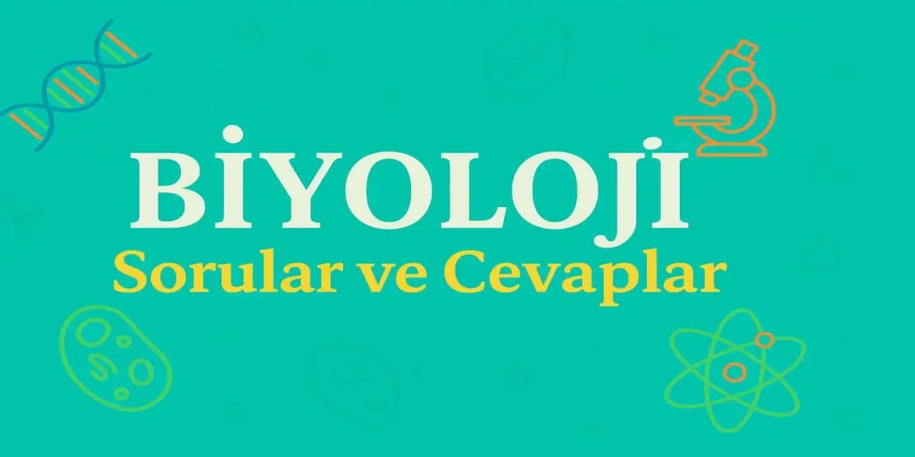 10. Sınıf Biyoloji Ders Kitabı Sayfa 101 Cevapları | TurkArama Motoru | Sağlık ve Günlük Yaşam için Pratik Bilgiler